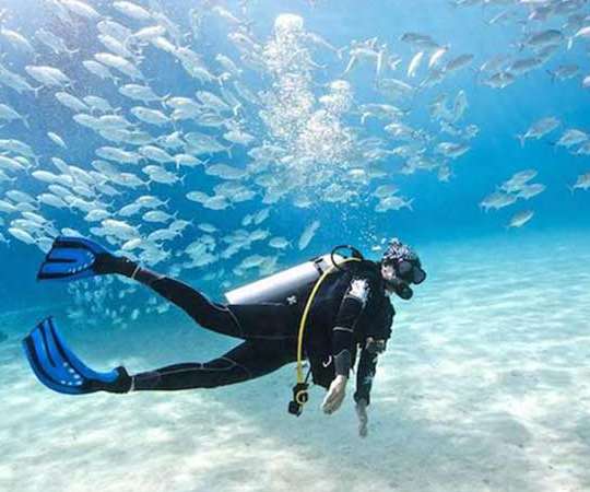Diving